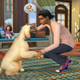 Illustration for article titled Sims 4 Finally Gets Pets